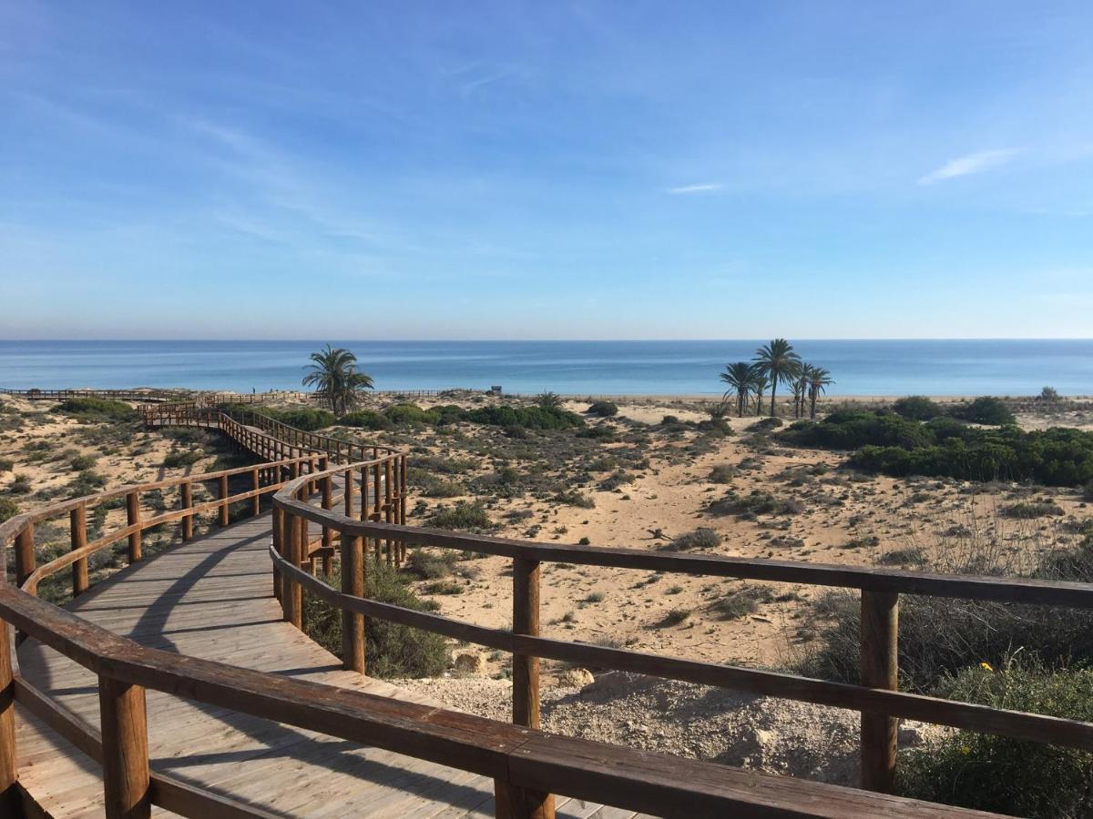 Luxury Appartement Alicante Los Arenales Del Sol, Near Beach, Large Solarium, Full Equipement エクステリア 写真