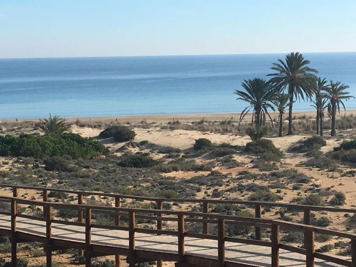 Luxury Appartement Alicante Los Arenales Del Sol, Near Beach, Large Solarium, Full Equipement エクステリア 写真